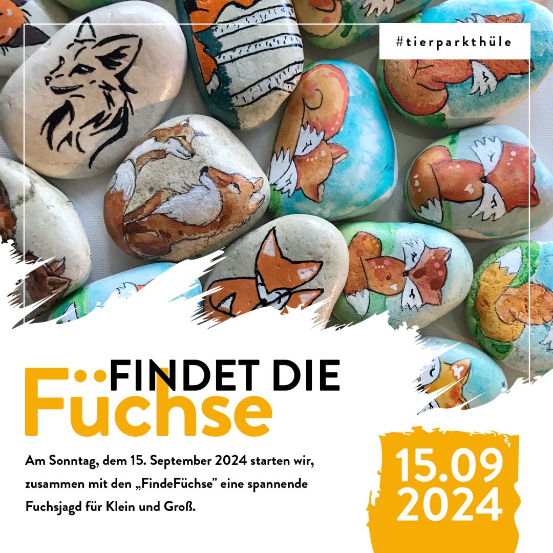 Findefuchs-Event am 15.09.2024